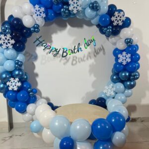 Premium Frozen Theme Birthday Decorators in Rudrapur